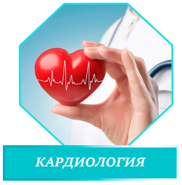 <span style="font-weight: bold;">Кардиология </span>