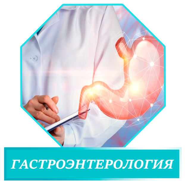 <span style="font-weight: bold;">Гастроэнтерология </span>