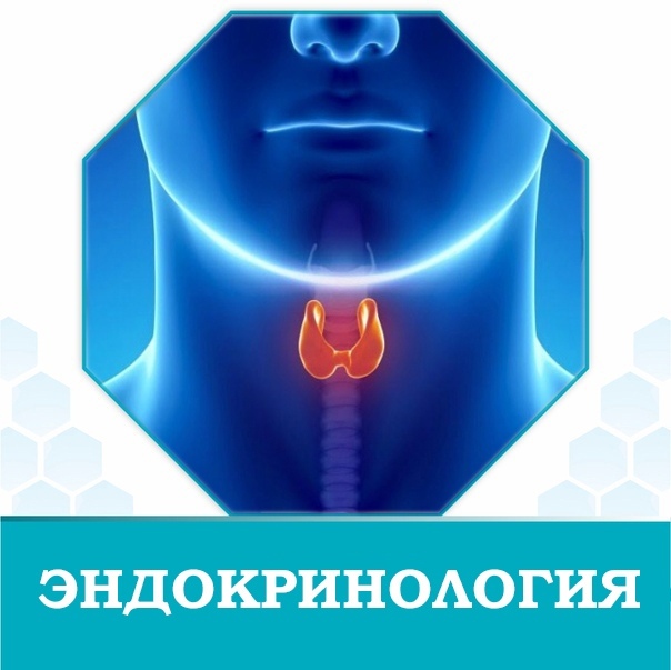 <span style="font-weight: bold;">Эндокринология</span>